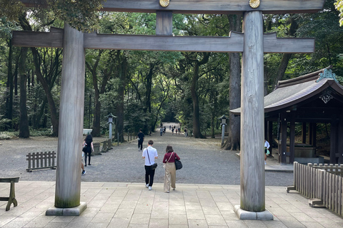 Tokyo City Highlights Tour With English Speaking Driver