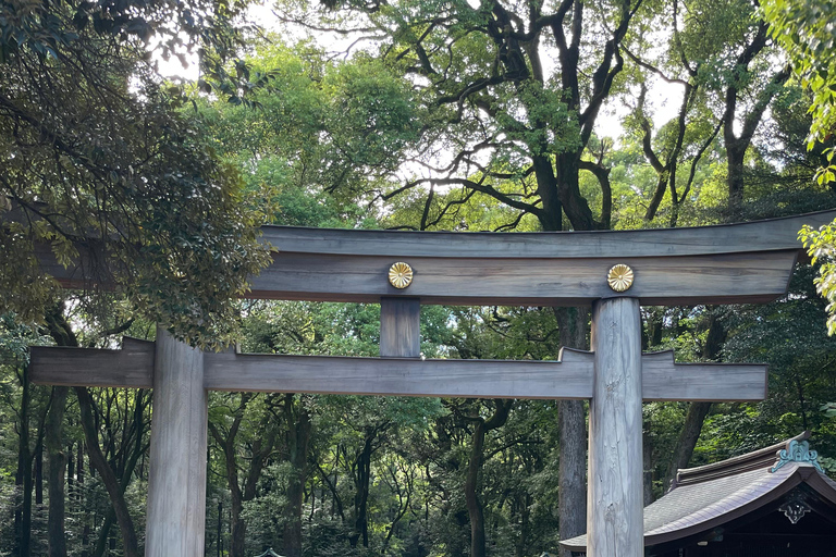 Tokyo City Highlights Tour With English Speaking Driver