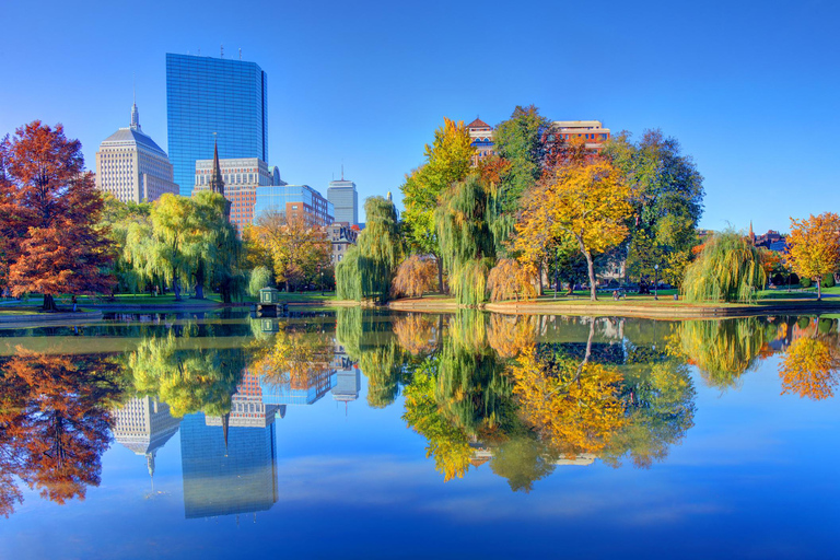 Best of Boston: Full-Day Private Tour