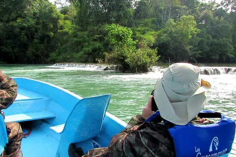 Chiapas: Privat naturtur 4 dagar och 3 nätterPrivat naturtur på 4 dagar