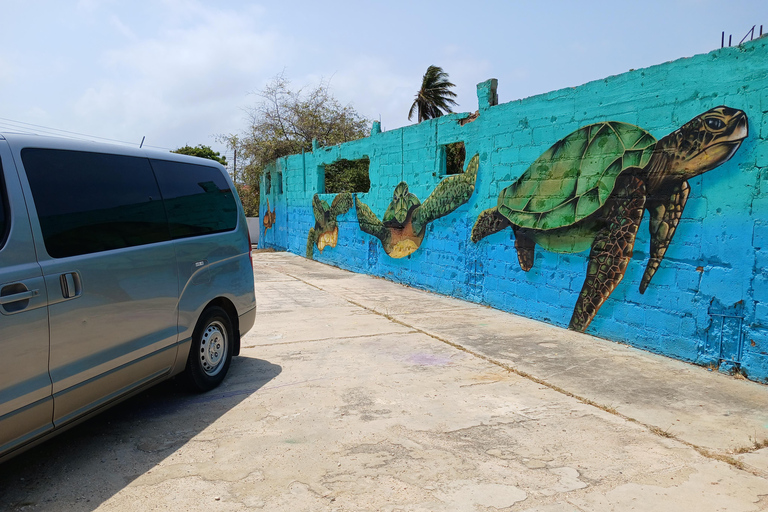 Destaques da excursão particular de Aruba em ônibus aberto