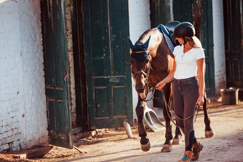 Lanzarote: Horseback Riding Tour to Pozo Beach