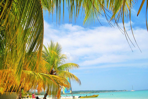 Tubing en la Playa, Parasailing y Día de Playa con TransportionDesde Montego Bay