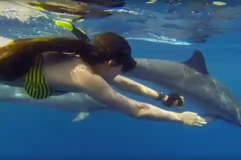 Zanzíbar: Excursión en barco por Mnemba Excursión de aventura con delfines