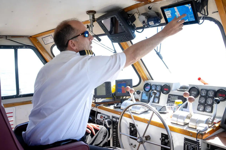 NYC : croisière d&#039;observation des baleines au départ de ManhattanNew York : croisière d&#039;observation des baleines au départ de Manhattan
