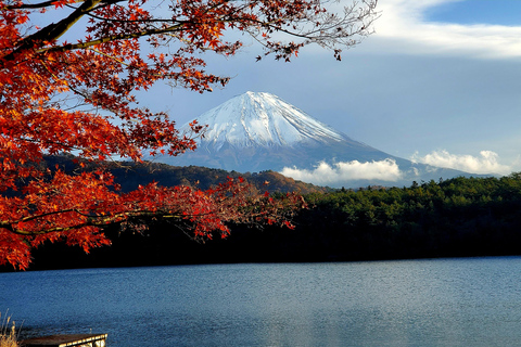 Mount Fuji & Hakone Full-Day Private Tour (Customizable) Hakone & Mount Fuji Tour w/English speaking guide