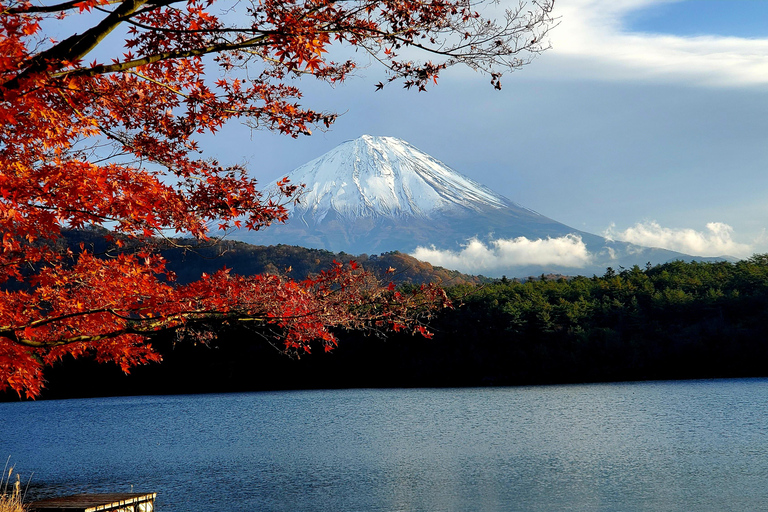 Mount Fuji & Hakone Full-Day Private Tour (Customizable) Hakone & Mount Fuji Tour w/English speaking guide