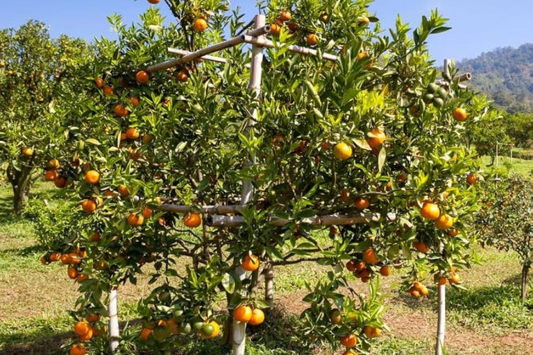 ZANZIBAR: Kamienne Miasto, farma przypraw i restauracja The RockWYCIECZKA PRYWATNA Z TRANSPORTEM