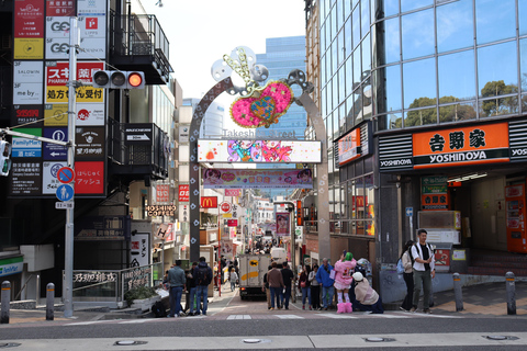 Tokyo Morning Highlights: Shibuya, Asakusa, Meiji-SchreinPrivate Tour