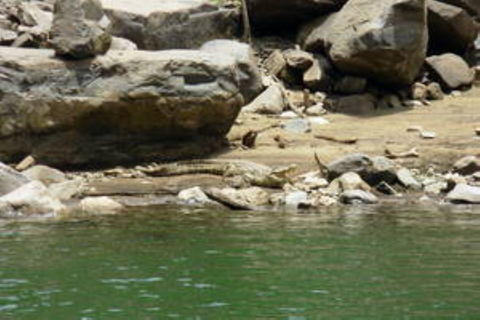 Hoedspruit: Blyde Dam Boat Cruise Blyde River Canyon: Blyde Dam Boat Cruise