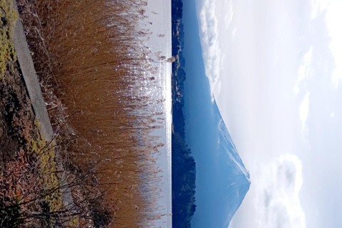 Mt Fuji Sightseeing Private tour with English Speaking Guide