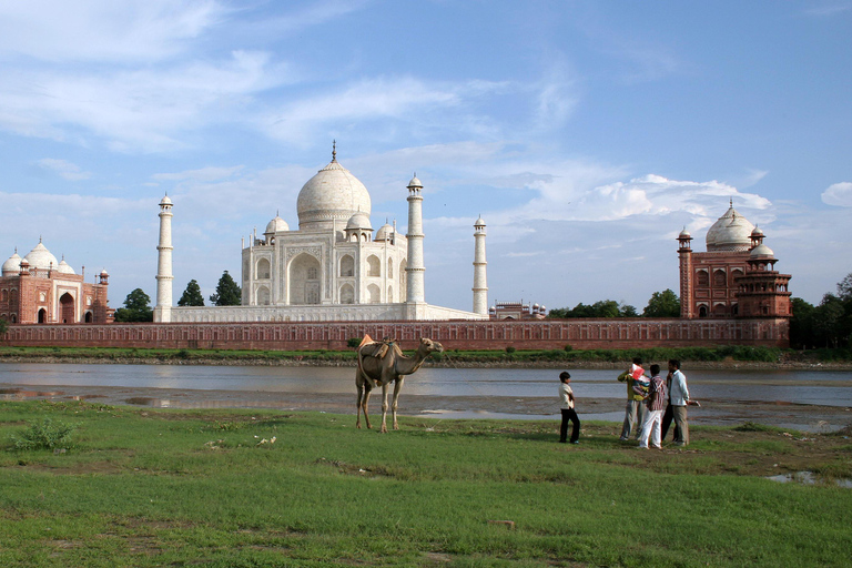 Agra: Same Day Marble Majesty and Agra Fort