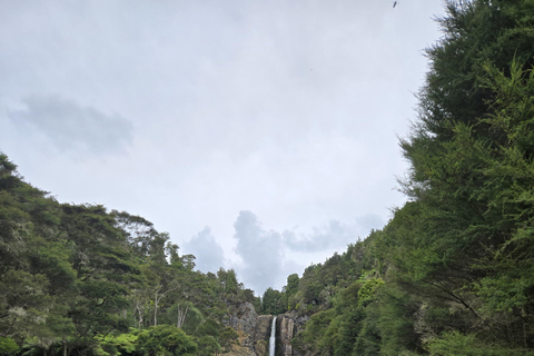 Auckland: Birdwatching, Hiking & Waterfalls Tour