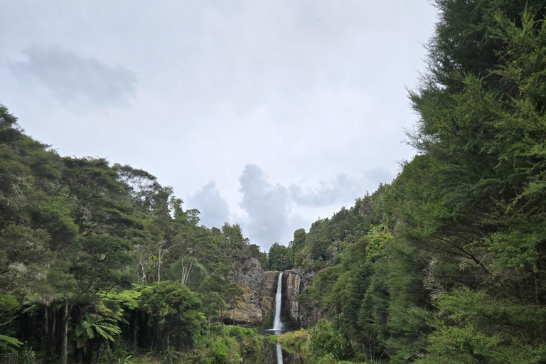 Auckland: Birdwatching, Hiking & Waterfalls Tour