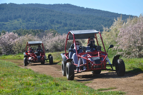 Kusadasi: 200cc Premium Quad or Buggy Safari Double ATV (2 Pax/1 Quad)