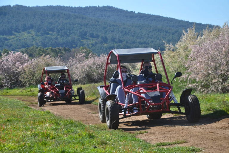 Kusadasi: 200cc Premium Quad or Buggy Safari Double ATV (2 Pax/1 Quad)
