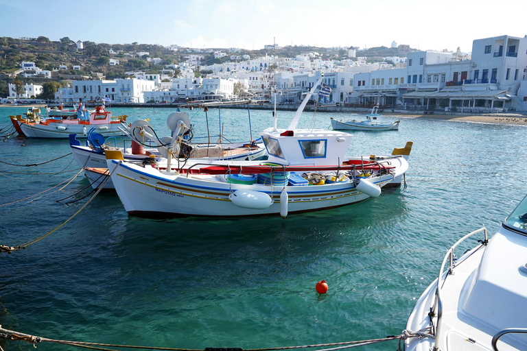 Mykonos: Private 4x4 Jeep Island Adventure from Cruise Port