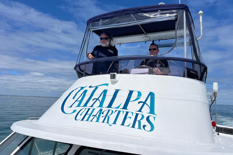 Rockingham: Lobster Catch and Keep Tour with Refreshments Lobster Spectator (No Catch & Keep)