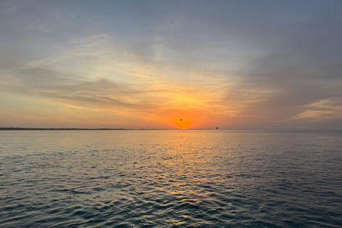 Destin: Sunset Pontoon Boat Cruise With Dolphin Watching