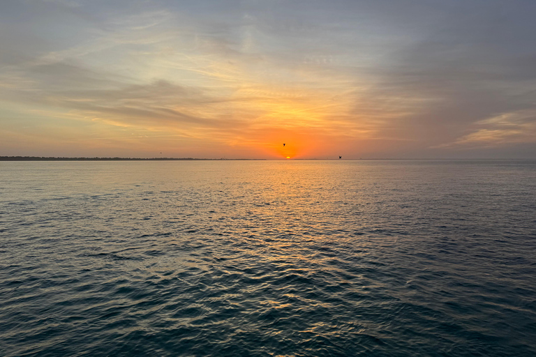 Destin: Sunset Pontoon Boat Cruise With Dolphin Watching