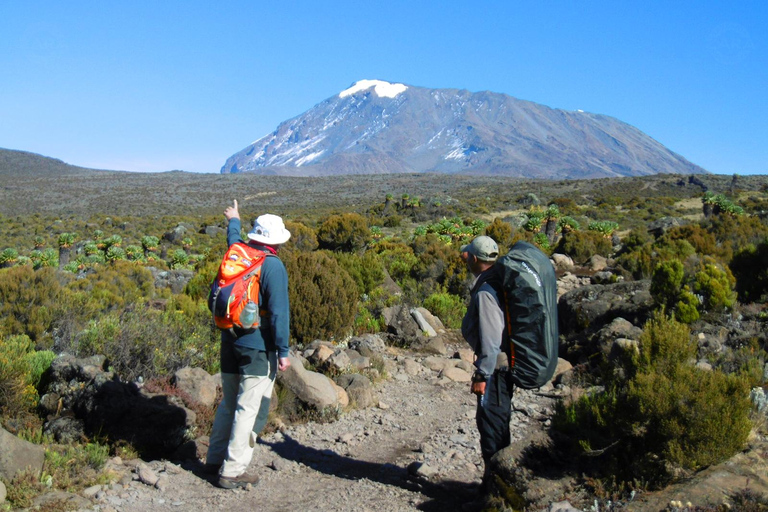 Kilimanjaro: 6-Day Machame Route Tour with Hotel & Transfer