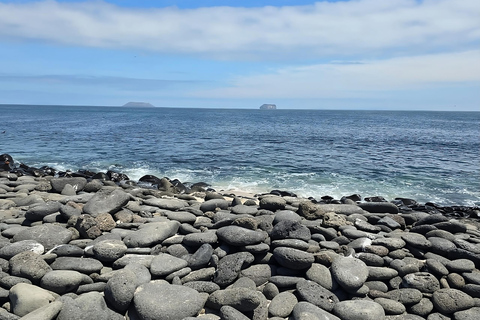 Noord-Seymour Eiland: Galapagos Tour van een hele dag