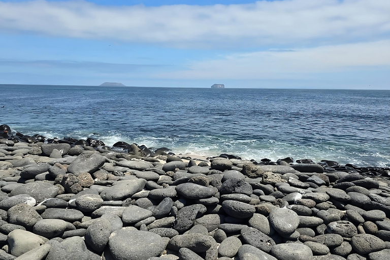 North Seymour Island: Heldagsutflykt till Galapagos