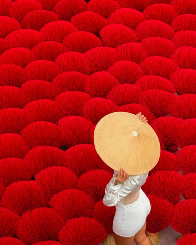 Hanoi: Tam Chuc Pagoda or Hat & Incense Village +SMALL GROUP