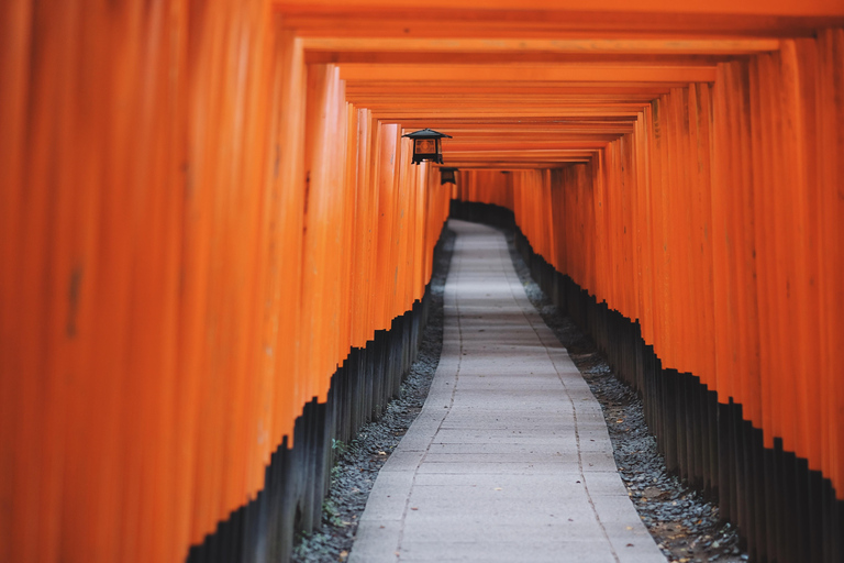 Kyoto: Nara, Fushimi Inari, and Arashiyama Day Trip
