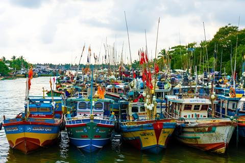 Tour a piedi del patrimonio culturale di Negombo