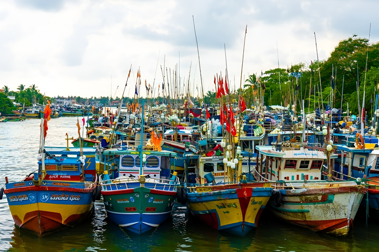 Tour a piedi del patrimonio culturale di Negombo