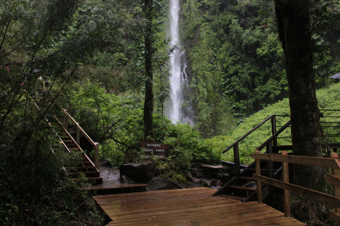 Pucón: El León Hot Springs and Waterfalls From Pucón: El León Hot Springs and Waterfalls