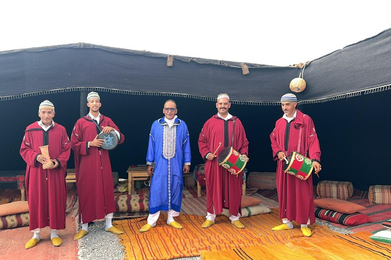 Marrakech: Dinnershow in de Agafay-woestijn met kamelen en zonsondergang