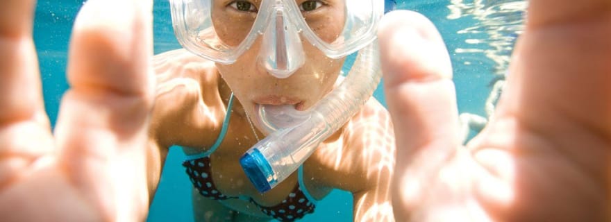 Key Largo : excursion de plongée en apnée sur le récif de Molasses