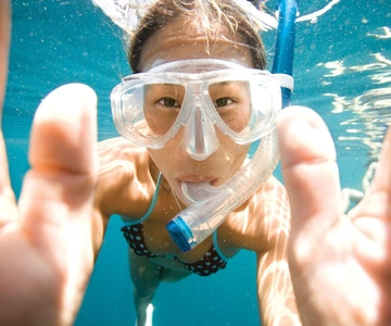 Key Largo: Molasses Reef Snorkeling Trip