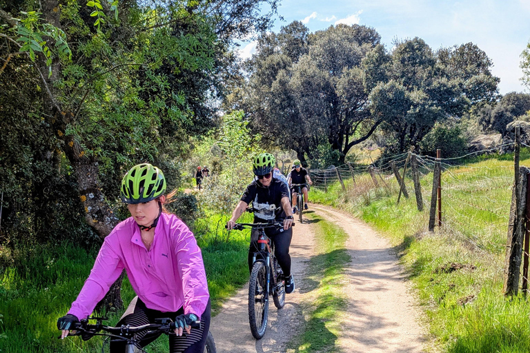 From Madrid: Small-Group Guided E-Bike Tour to El Escorial