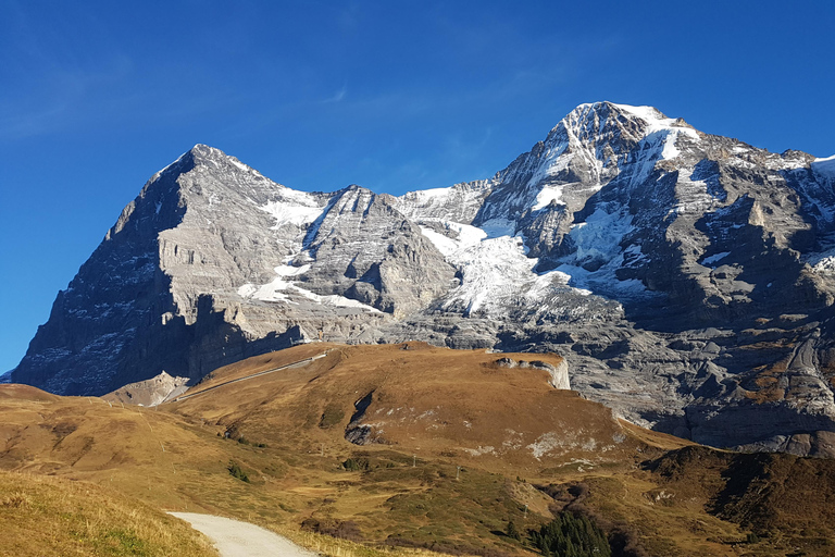 Kleingruppenreise Grindelwald-Scheidegg-LauterbrunnenGrindelwald-Scheidegg-Wengen-Lauterbrunnen Tagestour