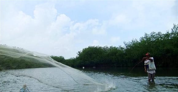 Cartagena: La Boquilla Fishing Village Tour with Cooking