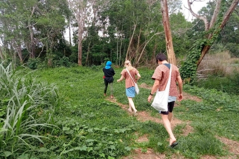 Phuket: Ganztägiger Spaziergang mit ethischen Elefanten Interaktive Tour