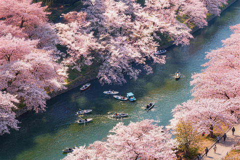 Tokyo: Sky Lunch, Ueno Cherry Blossom & Meguro Night Trip