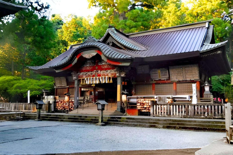 From Tokyo : Mount Fuji Private Day Trip with Hotel Pickup Mount Fuji & Hakone Customize Tour With English Guide