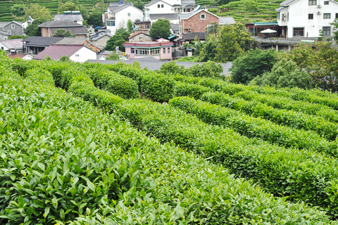 From Shanghai: Hangzhou Private Day Trip with Bullet Train