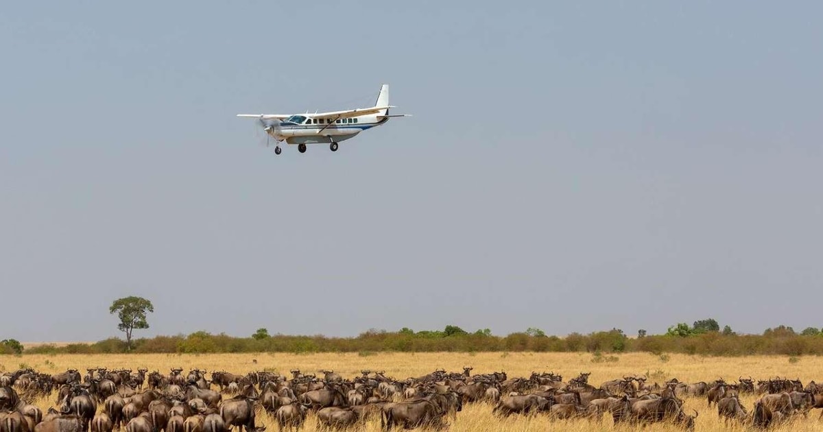 3 dages Maasai Mara Flying Safari pakke på Keekorok Lodge GetYourGuide