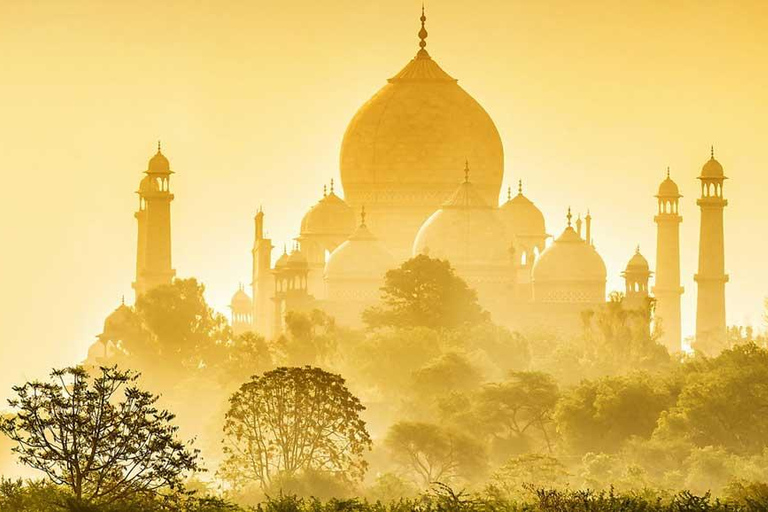 A partir de Deli: Tour particular de 3 dias pelo Triângulo DouradoTour particular com hospedagem em hotel 4 estrelas