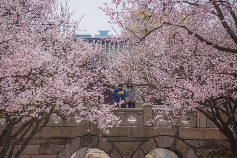 Seoul: Bongeunsa Temple and Gourmet Night Tour in Gangnam