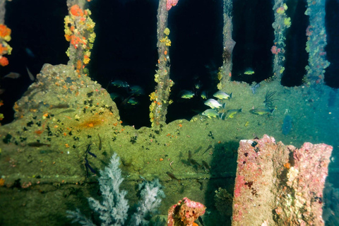 Mirissa: Scuba/Wreck Diving Experience (Shallow & Deep)