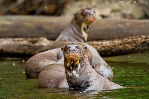 Puerto Maldonado: 4-Day Amazon Rainforest Adventure