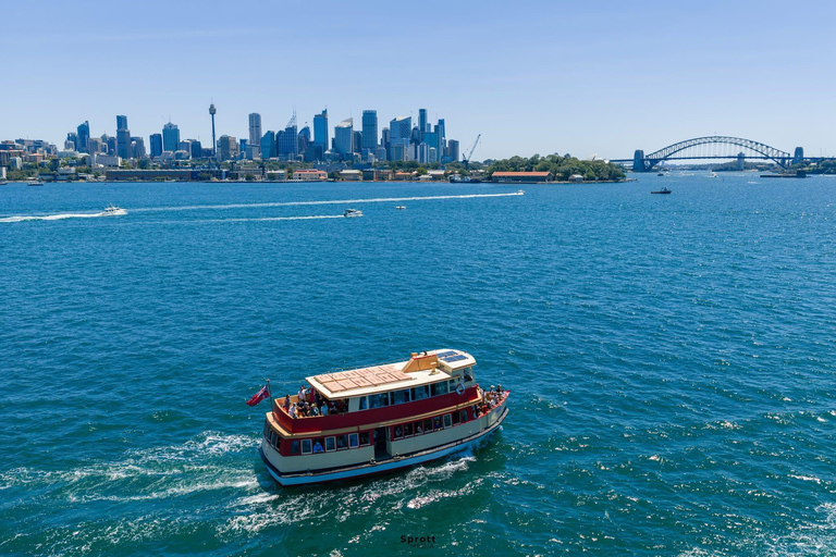 Sydney: Vivid Festival Cruise 90 - minutes