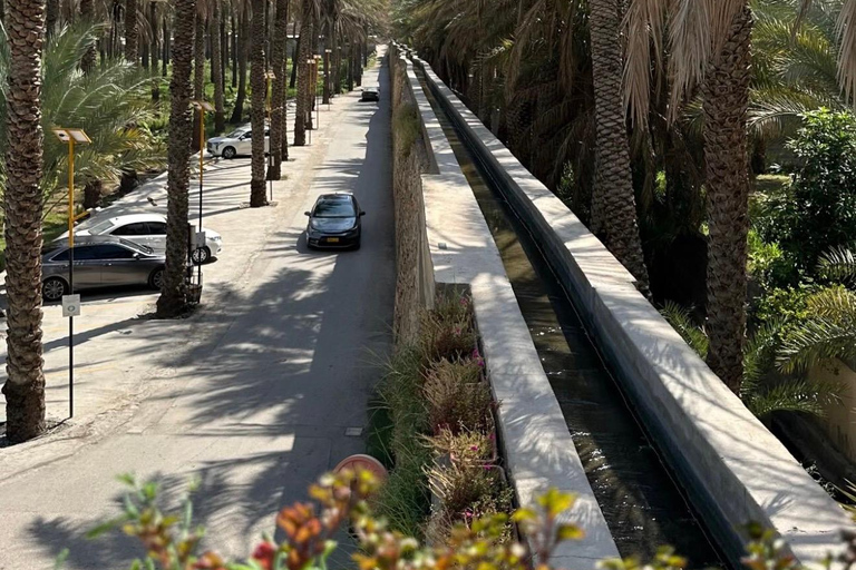 From Muscat: Nizwa & Jabal Akhdar with Multilingual Guide