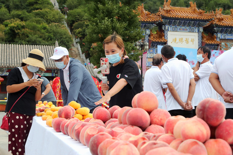 Beijing Taoist Attractions Feature Day Tour（With Options）Half Day Tour Covering BeijingBaiyunguan And Dongyue Temple